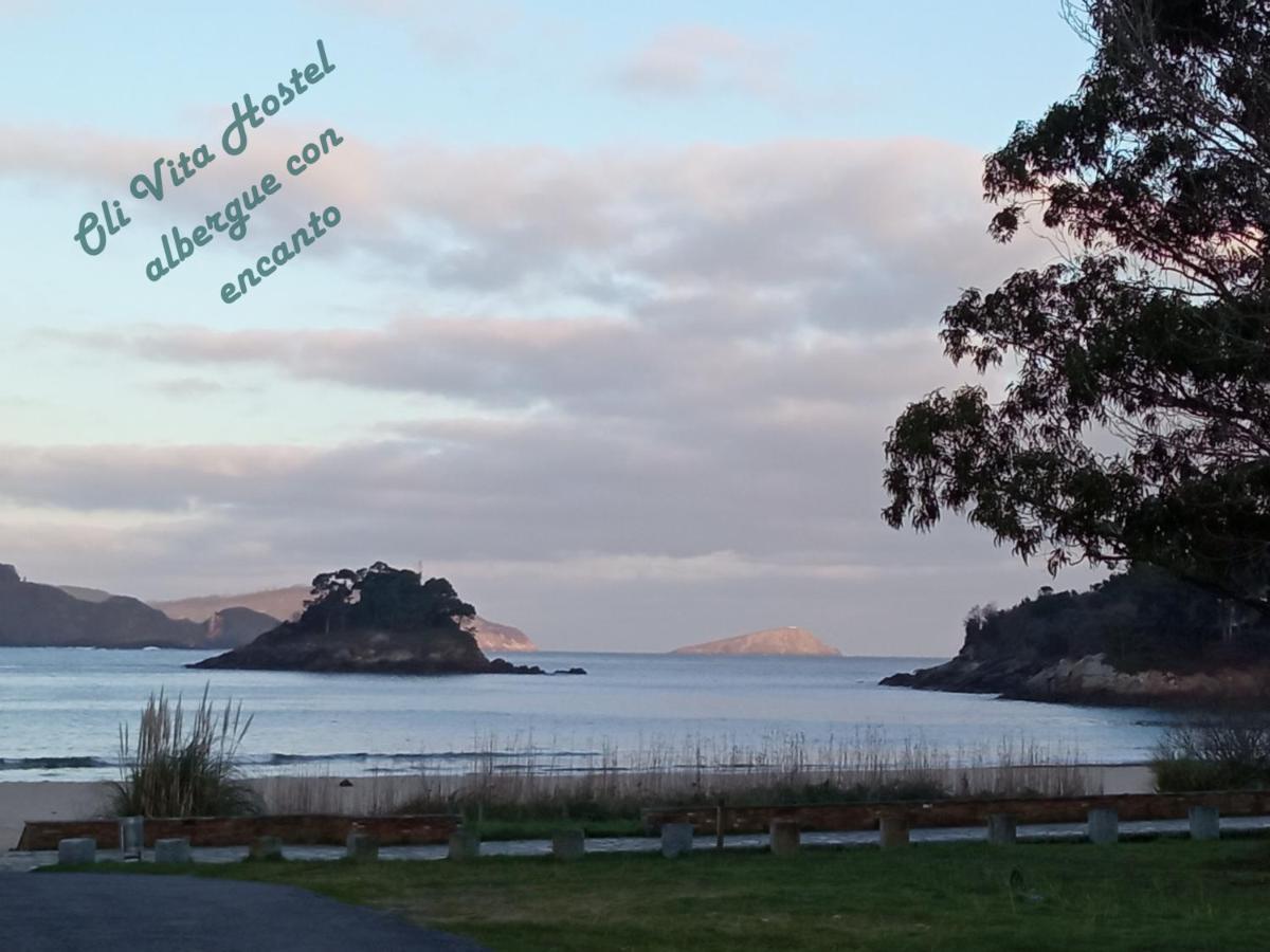 Oli Con Encanto Viveiro