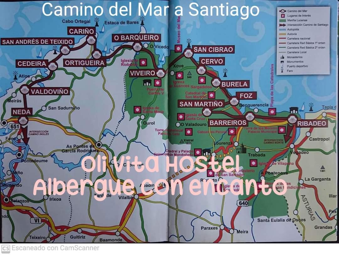 Oli Con Encanto Hostel Viveiro